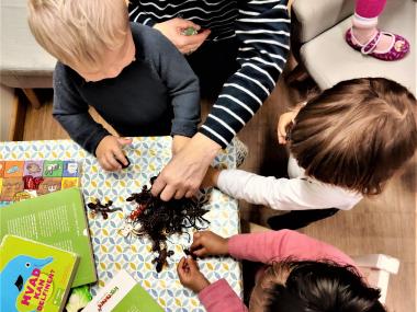 Børn og voksen kigger på insekter